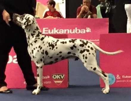 Lilomac’s A little Don Juan