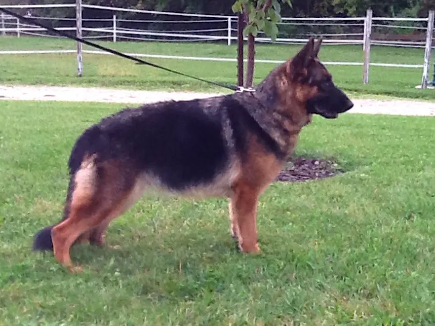 Mia Bella von Promised Land