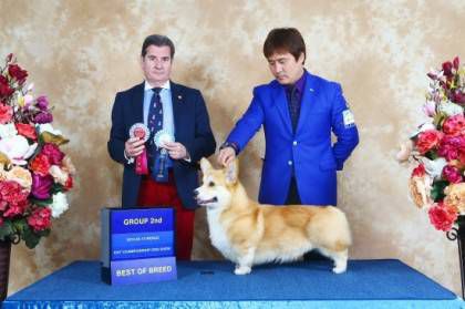 The GoodBoy Take Me Away