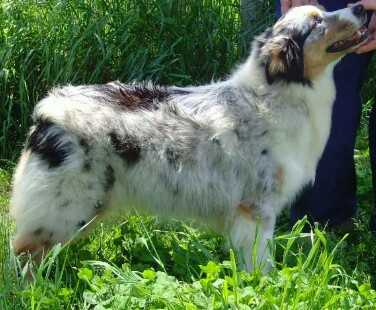 Shorelands Gone In 60 Seconds