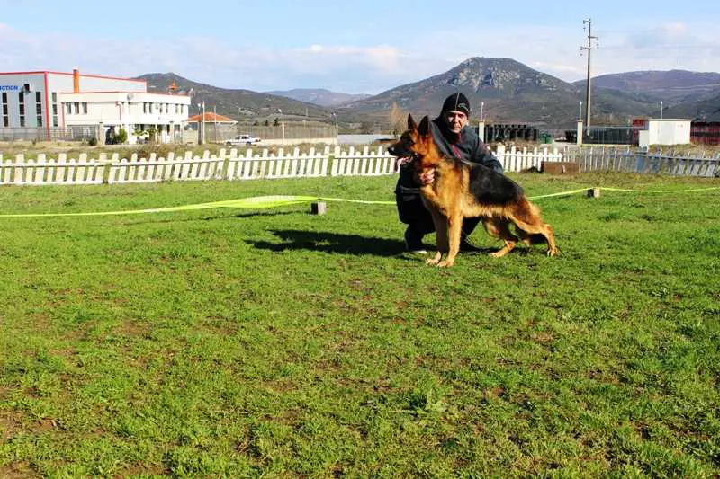 Inter Vardar Wolf