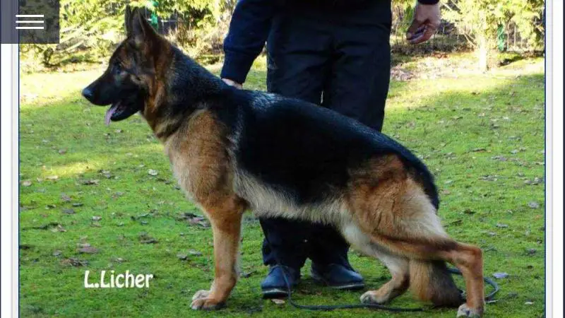 Rachel van de Zomerdijkslanden