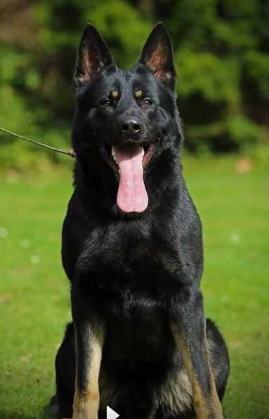 SG Aik von der Ofdener Schlucht