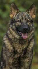 SG Aqua Von Der Schiffslache