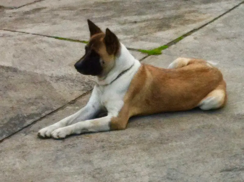 Cory De Middle Of The World