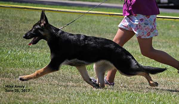 Hessen's French Kiss of Mariner
