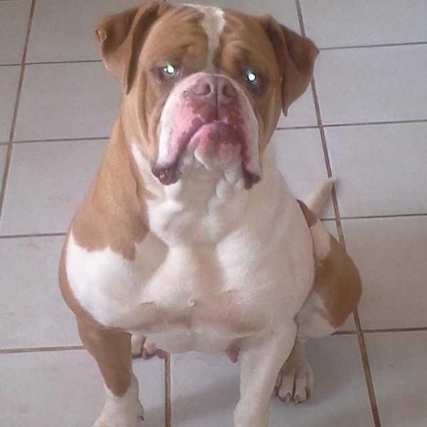 Tucker's Lady Red of Neal