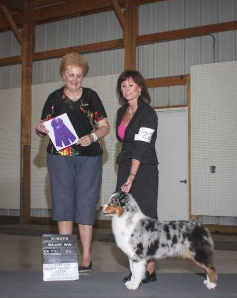 AKC/ASCA CH Highpoint's Southern Belle