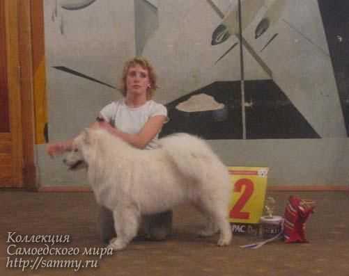 BELOYE CHUDO Taynaya Strast