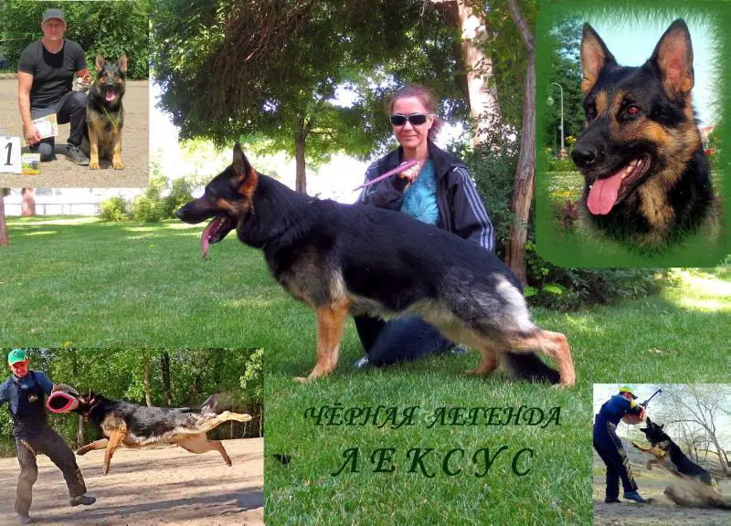 Ch YFD 2017, V Chernaja Legenda LEXUS