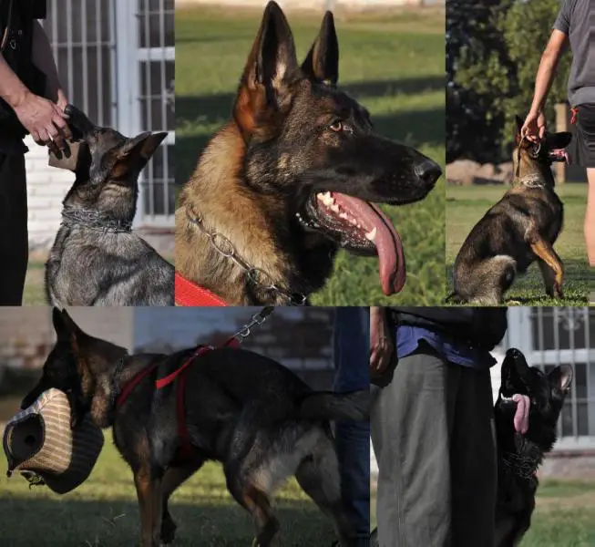 Jenna von Eisinger Wolfreich