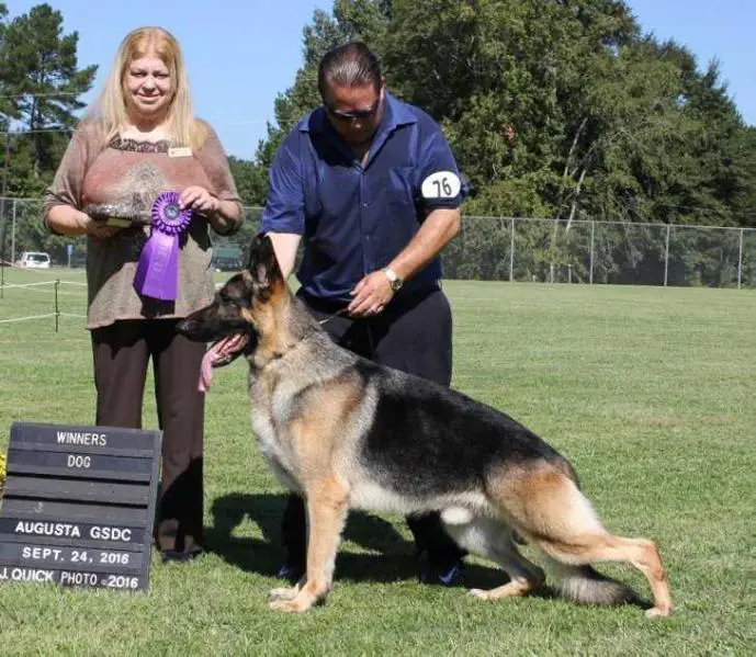 CH (US) Ponca Hill-Tantara's This Guy!