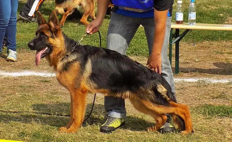 Flört von Haus Huczmann