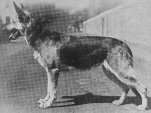 Rita von der Kohlenheide