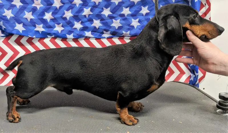 KLT Sunshine BC Amos