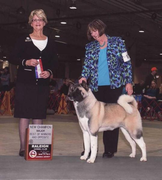 AKC CH Excel Shu-Ku Song Of The Night