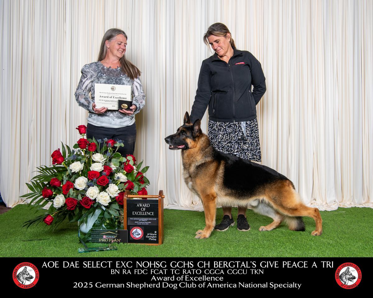 '21&'25 Top 20, '21 #1 OH GSD MRBISOH AOE DAE SelEx OHG GCHS BergTal's Give Peace A Tri