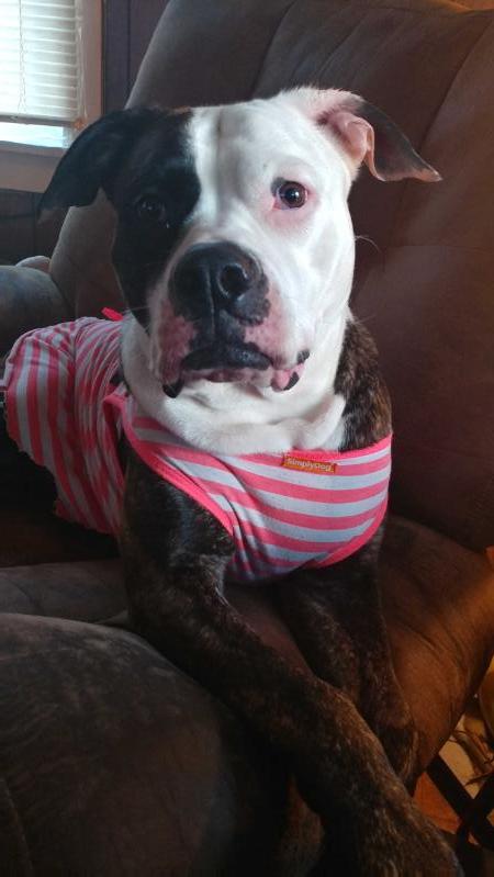 KC'S PRINCESS PENELOPE