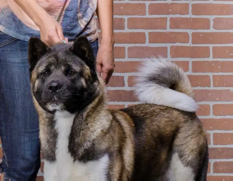 Redient Usual Beauty