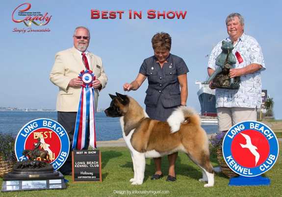 AKC GCH, UK CH Ruthdales Candy From A Baby
