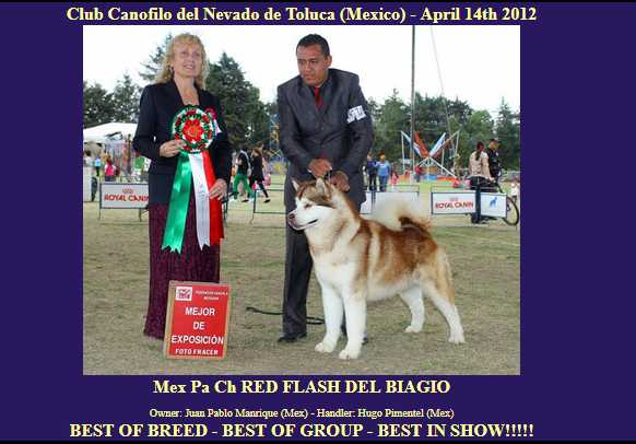 Mex Pa Champ. RED FLASH DEL BIAGIO