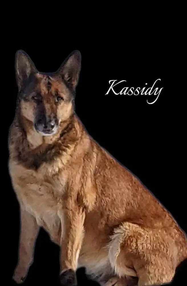 Redria'Ven Raydiant Kassidy