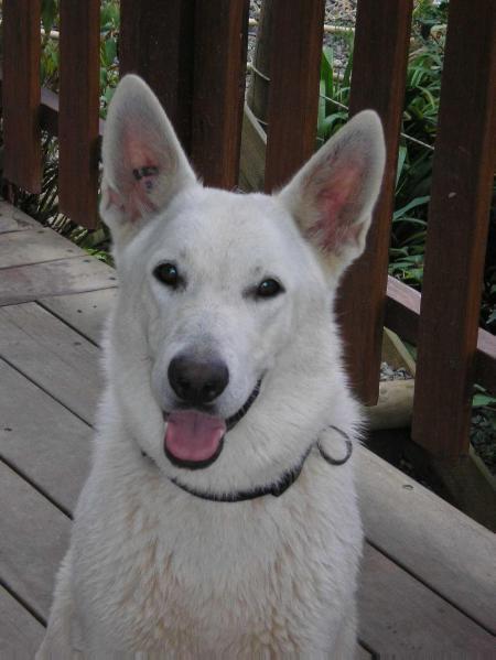 B'Alpinarc Brise d'hiver