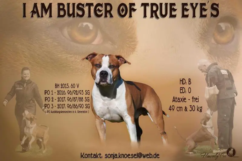 I am Buster of True Eyes