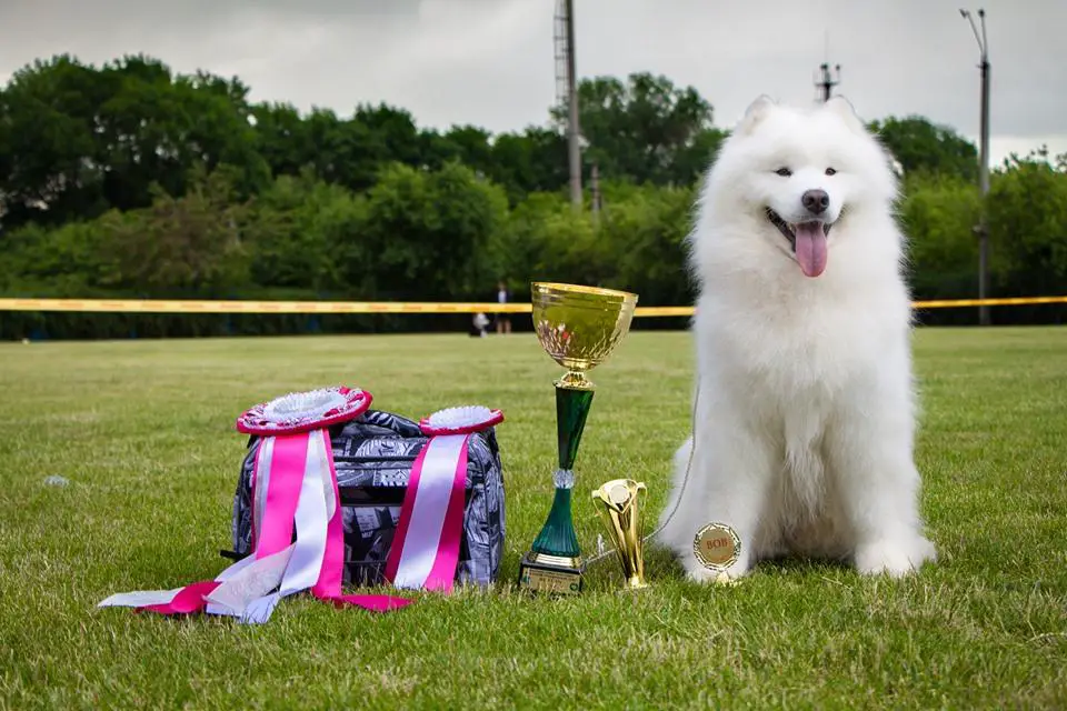 SGRCHUA, BBB Crystal Snowflake ASKANIO