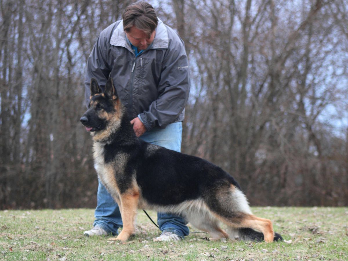 Sundance's Little Bo Peep of Edan