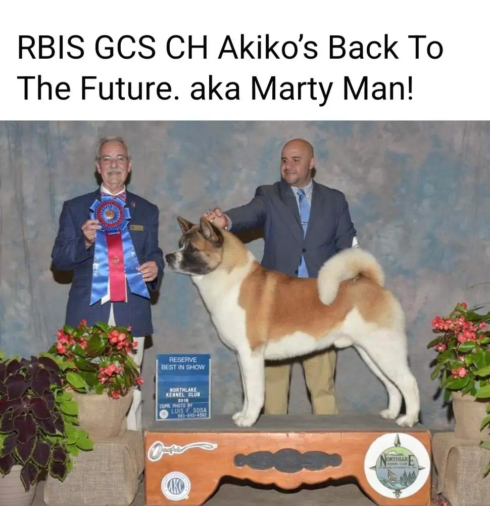 AKC GCH Akiko's Back To The Future
