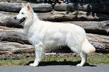 Lord Sky of the Heart of Lothian
