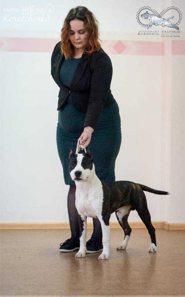 Star Ocean Eye Catcher