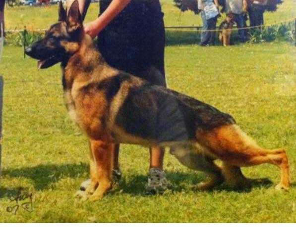 Rockstar's Lightning Crashes