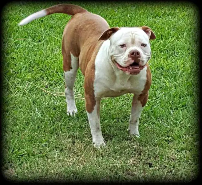 Venus Serrano of Byfb