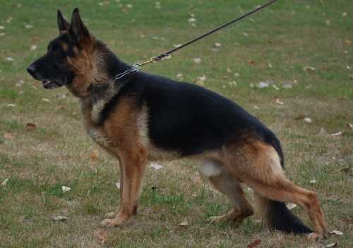 V Maxl von der Piste Trophe