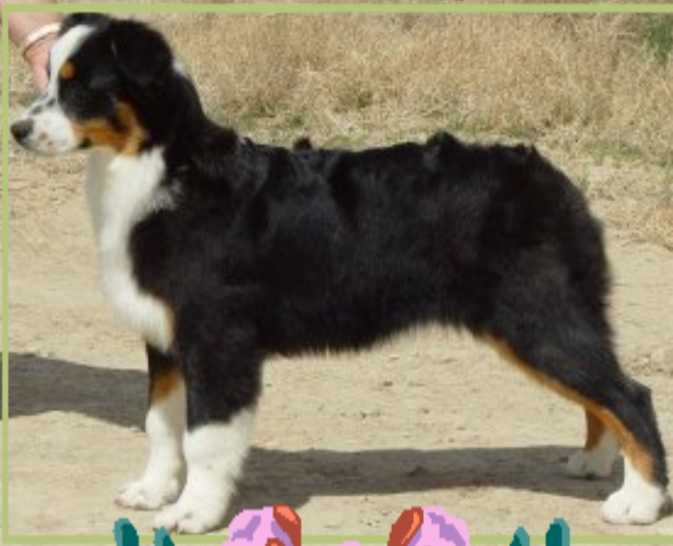 Hug-me's Mystical Zanadu of Flinthill