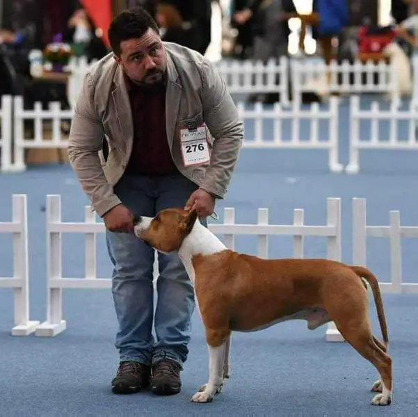 ROJCH, MULTI JBIS , MULTI BIS, JBISS , BISS PAUN’S EDITION B-2 SPIRIT