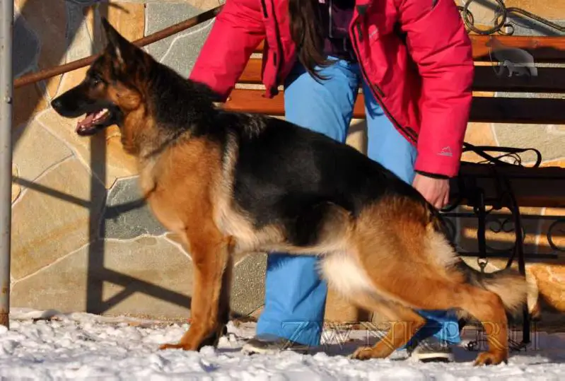 Zilber Wasserfall ESENIYA