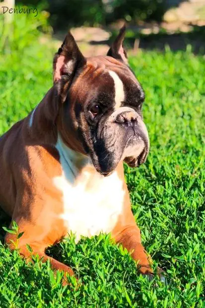 Ch. Rio Del Cabezo La Jara