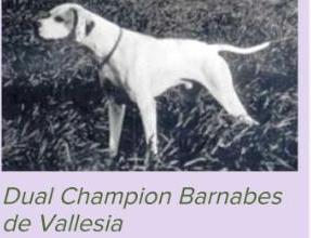 BARNABE DE VALESIA