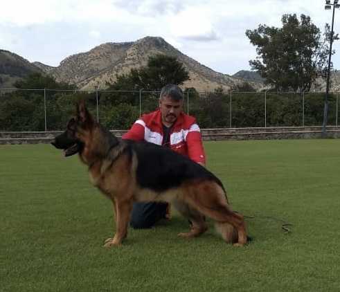 Balu Von Vesa