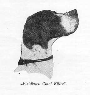 GIANT KILLER FIELDBORNS