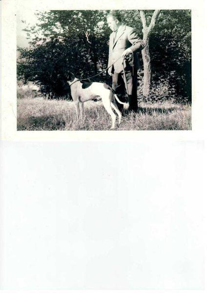 LUCANIAE GAIO  (GAIDO)