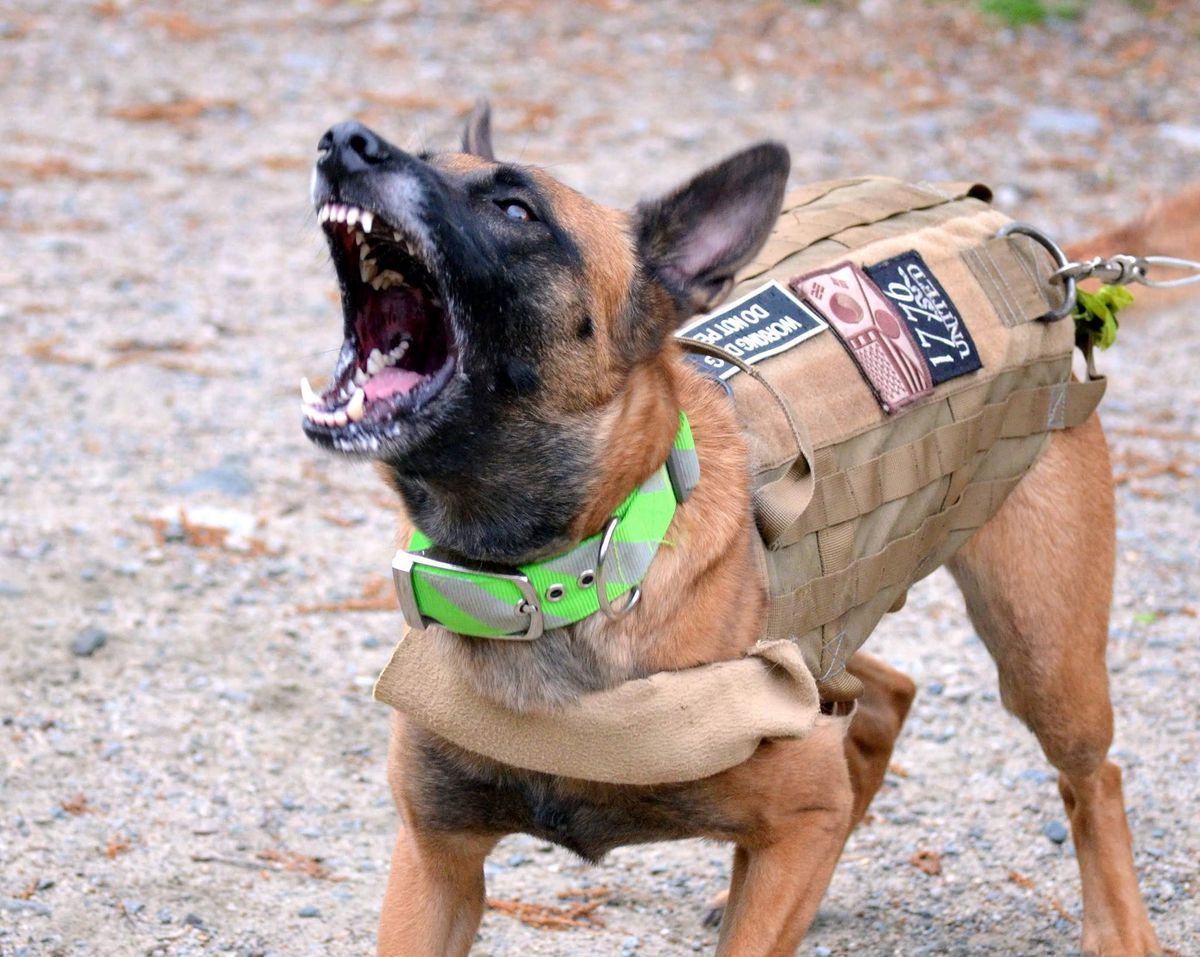 Dahja Vue Vom Newmanhaus