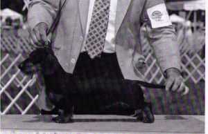 CH Ezgoins Reba McEnwire MW