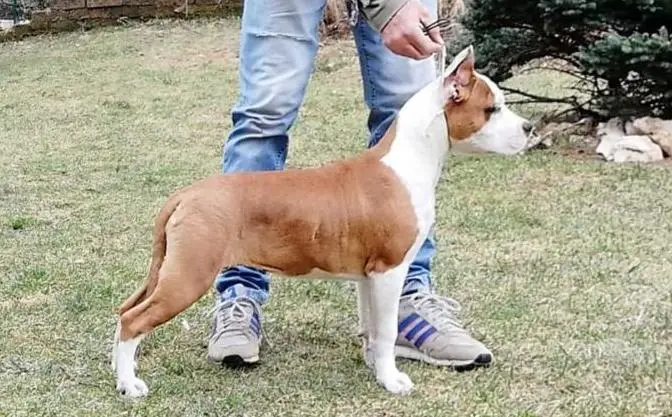 Lovely Girl Step by Step Team