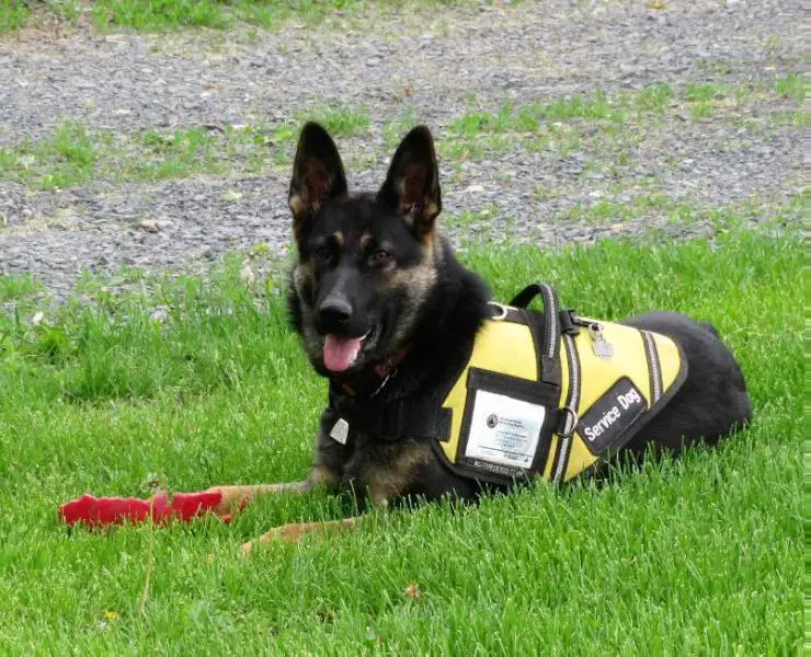 Maheesa Moravia Campanella