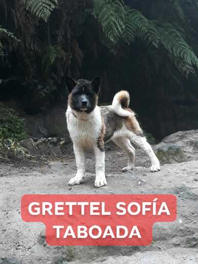 Grettel Sofia (Sandoval)