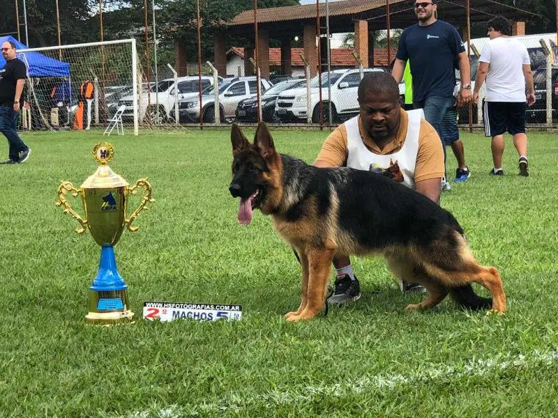 Bolt von BR Vullkanun